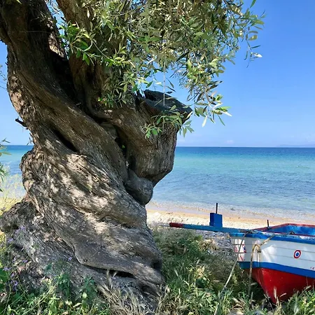 Exquisite Thassos Chateau 3 Bedroom Private Pool * Prínos