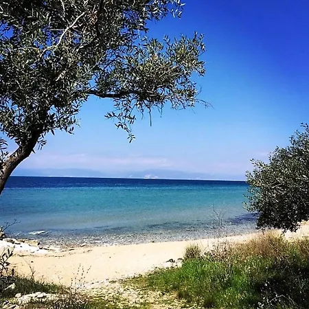 Villa Exquisite Thassos Chateau 3 Bedroom Private Pool